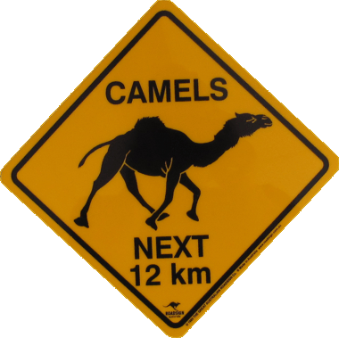 Camel road signs