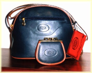 handbag and purse