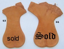 Unique kangaroo scrotum sacks
