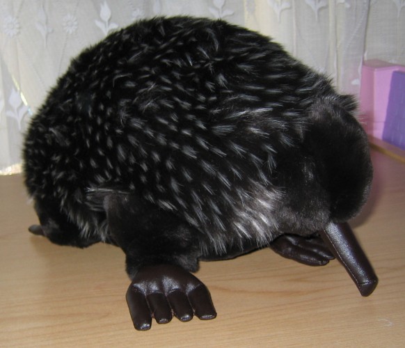 Extremely soft and huggable toy - Edna the Echidna