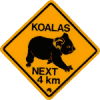 Koala road signs 