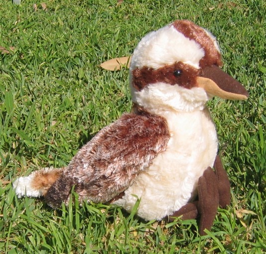 kookaburra stuffed animal