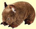 Stuffed wombat