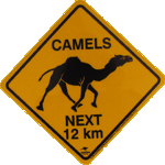 Camel road sign