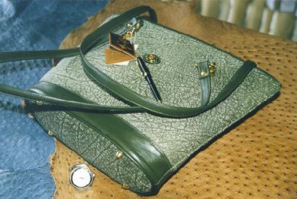 bag_green_big.jpg (28323 bytes)