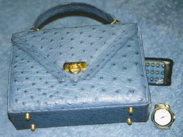 bag_blue.jpg (18018 bytes)